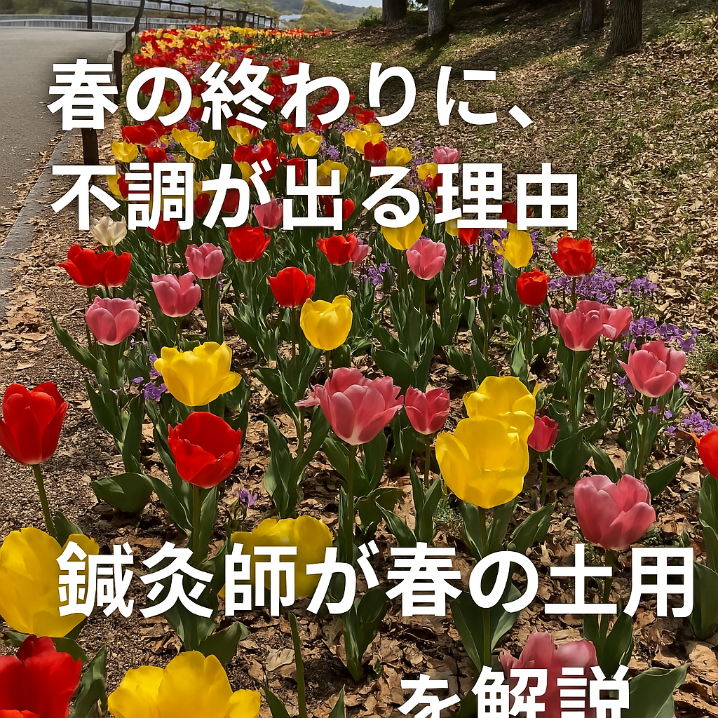 春の終わりに不調が出る理由｜鍼灸師が春の土用を解説したアイキャッチ画像