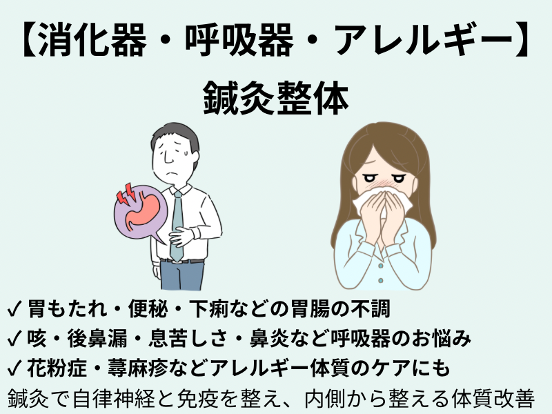 消化器・呼吸器・アレルギー症状の鍼灸整体