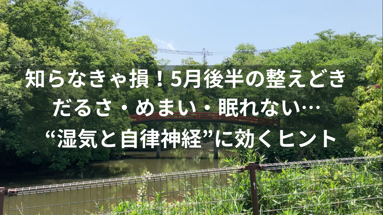 新緑の川辺と赤い橋を背景に、「知らなきゃ損！5月後半の整えどき だるさ・めまい・眠れない… “湿気と自律神経”に効くヒント」というテキストが重ねられたサムネイル画像